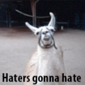 Meet your Posher, Elena